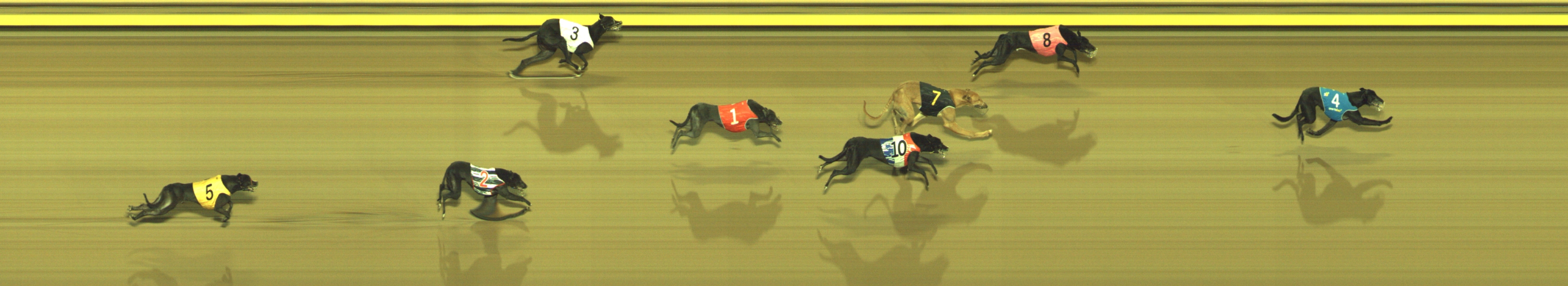Photo finish for Geelong Race 12