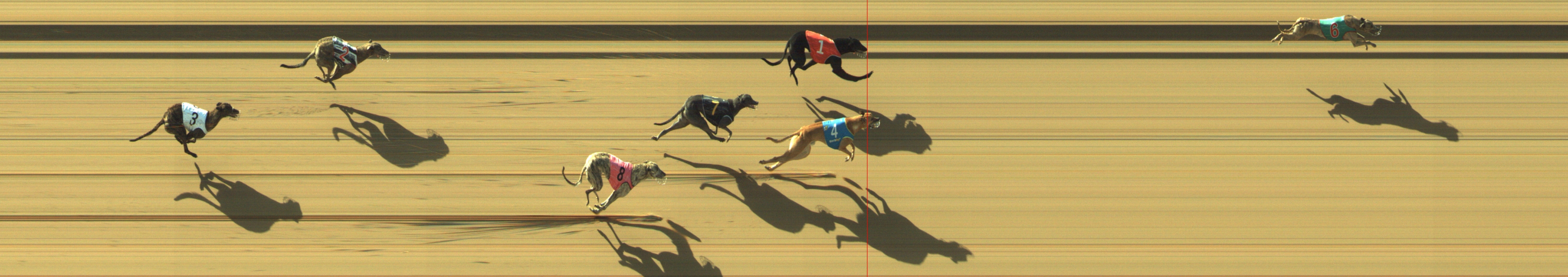 Photo finish for Geelong Race 2