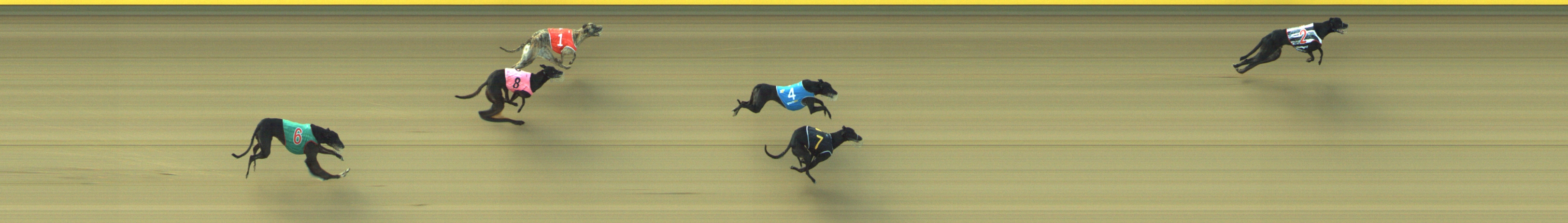 Photo finish for Geelong Race 3
