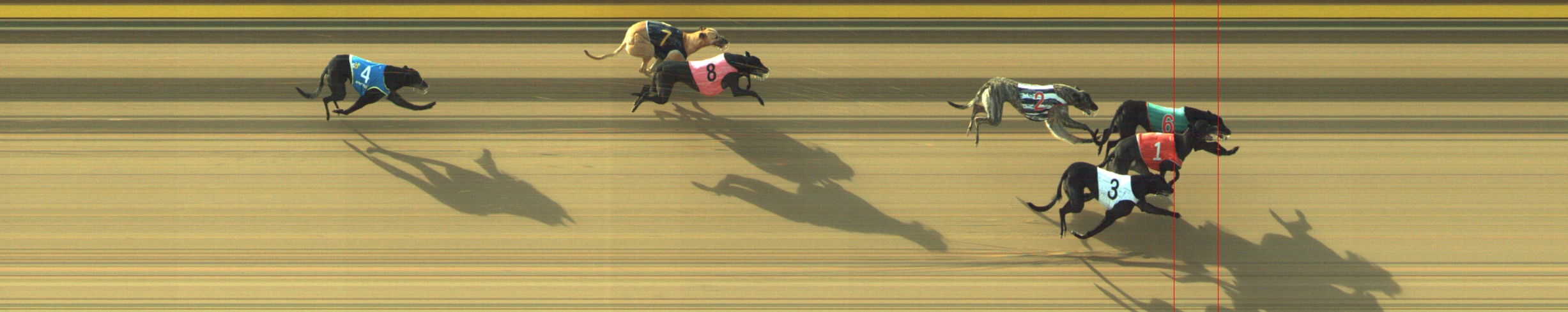 Photo finish for Geelong Race 4