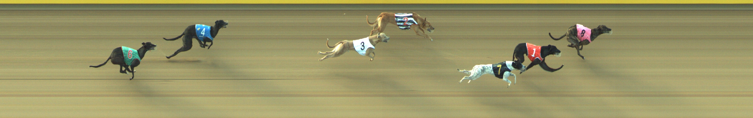 Photo finish for Geelong Race 5