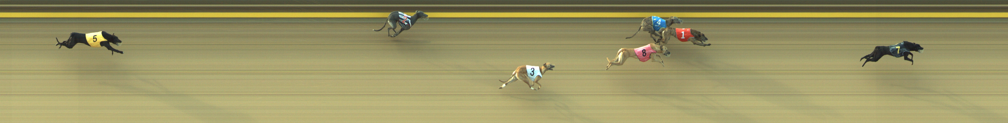 Photo finish for Geelong Race 6
