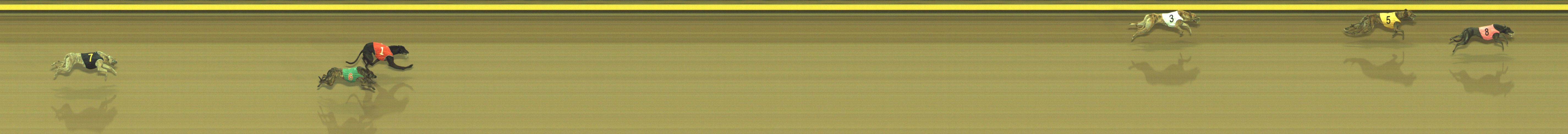 Photo finish for Geelong Race 7