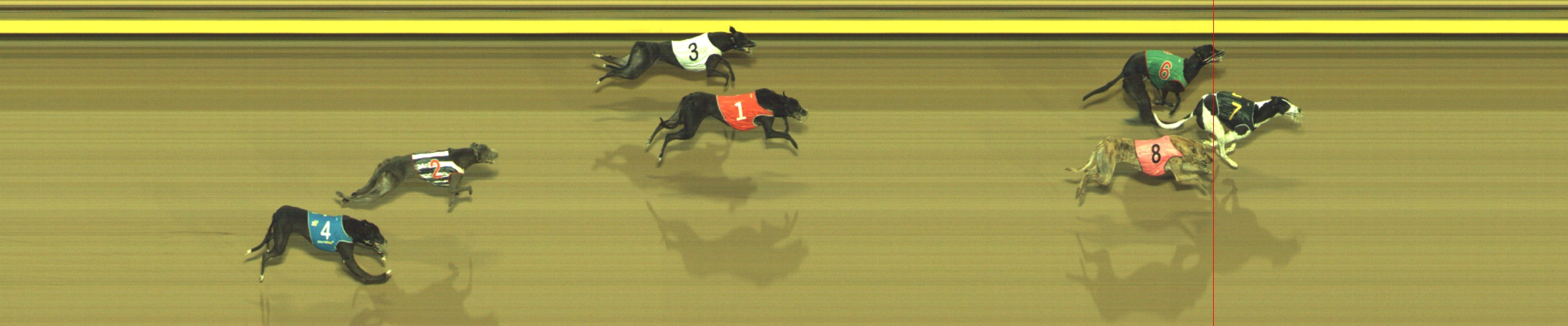 Photo finish for Geelong Race 8