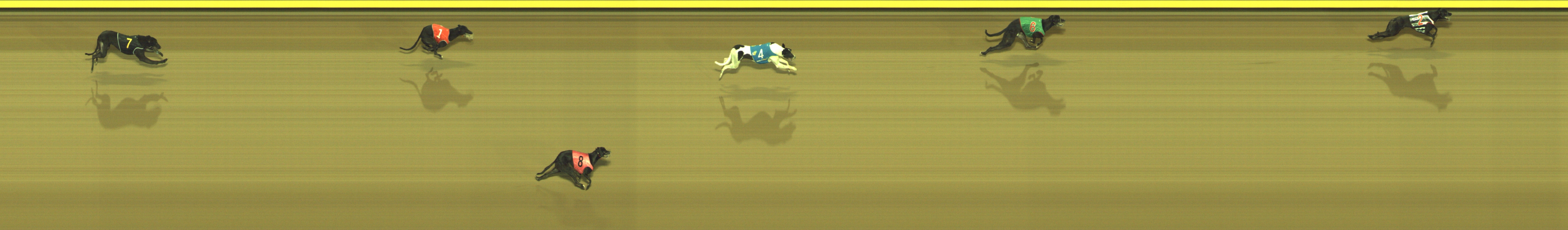 Photo finish for Geelong Race 9