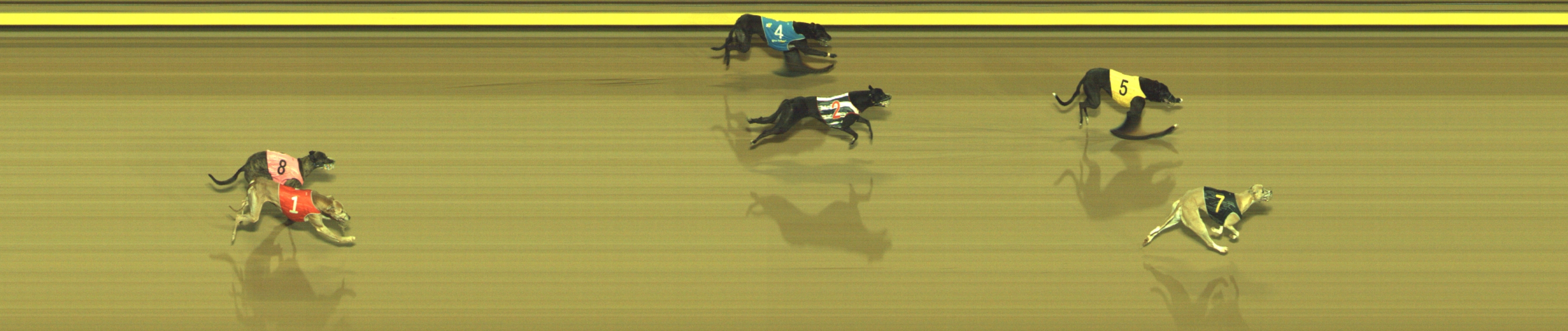 Photo finish for Geelong Race 10