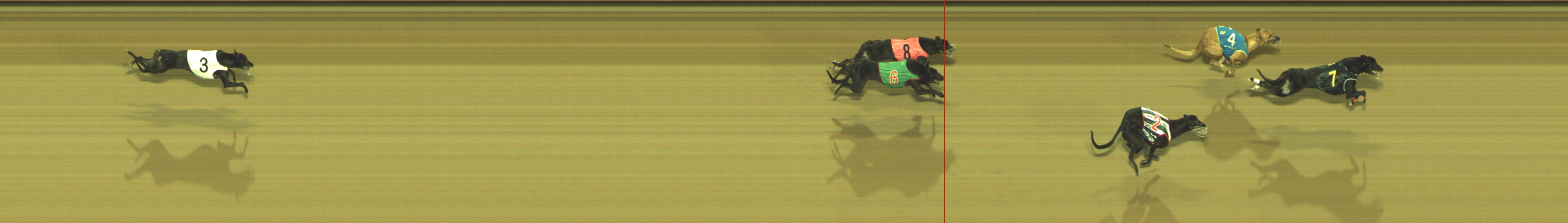 Photo finish for Geelong Race 11