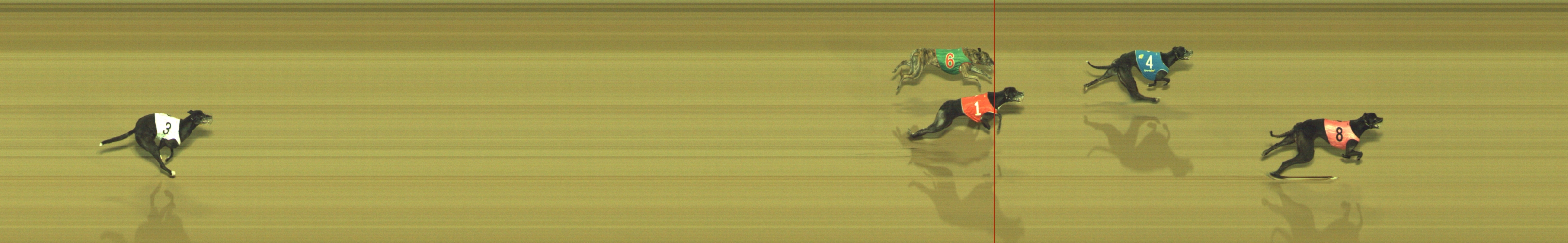 Photo finish for Geelong Race 12