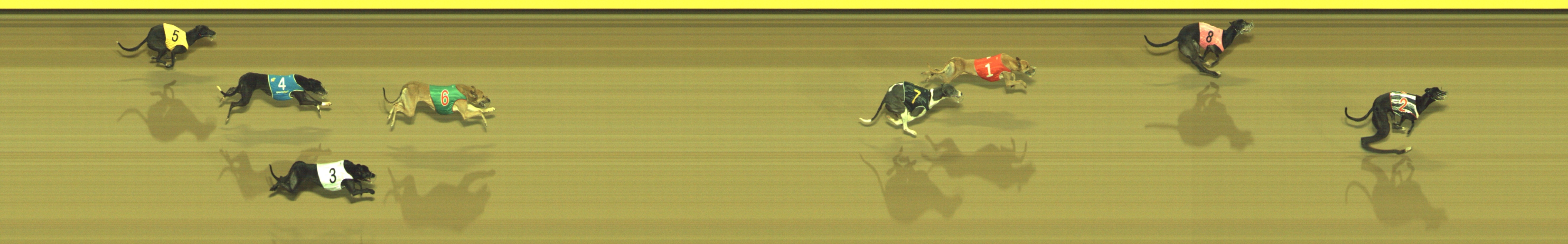 Photo finish for Geelong Race 13