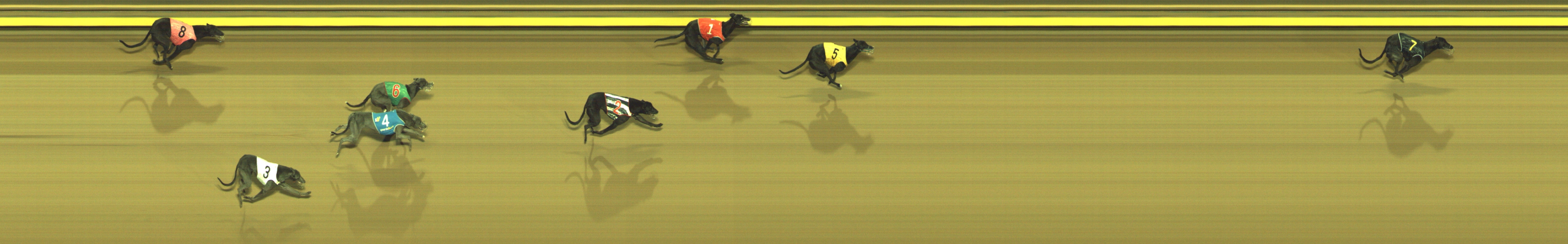 Race result finish photo