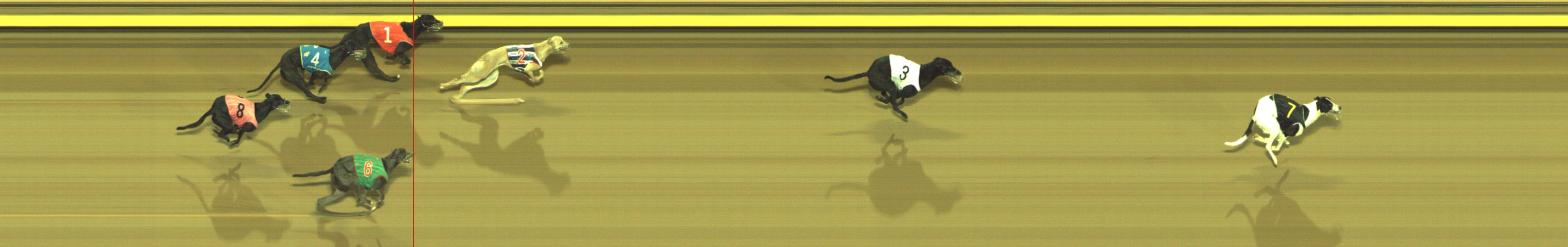 Photo finish for Geelong Race 2