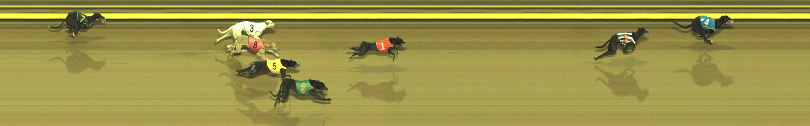 Photo finish for Geelong Race 3