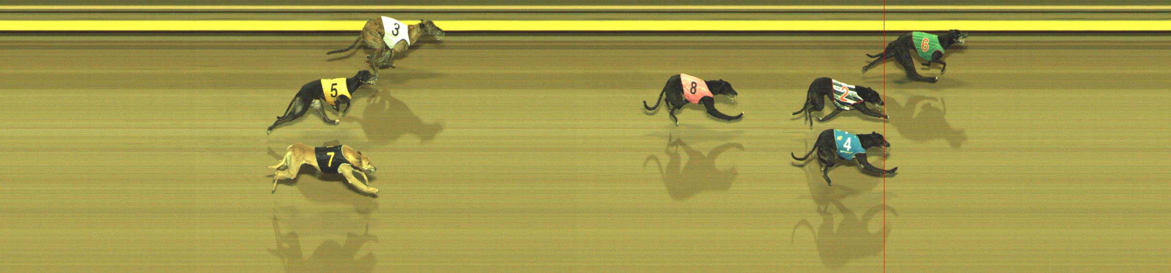 Photo finish for Geelong Race 4