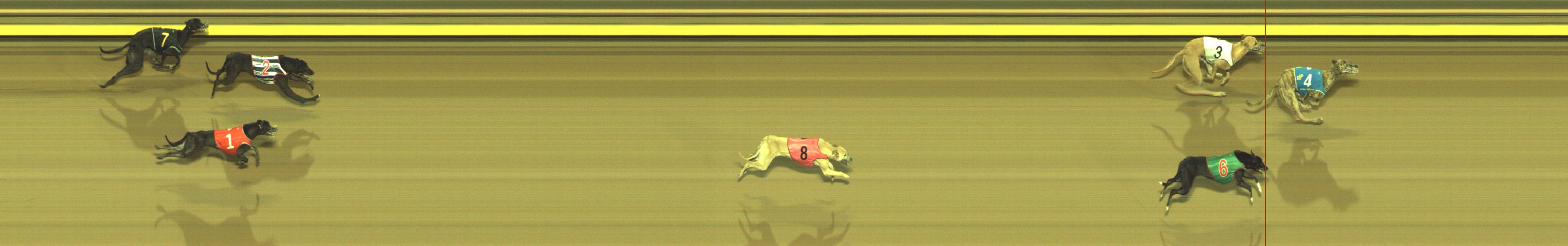 Photo finish for Geelong Race 5