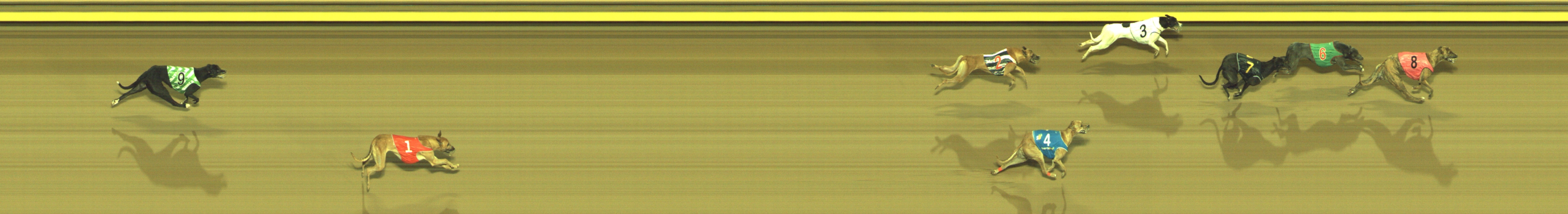 Photo finish for Geelong Race 6