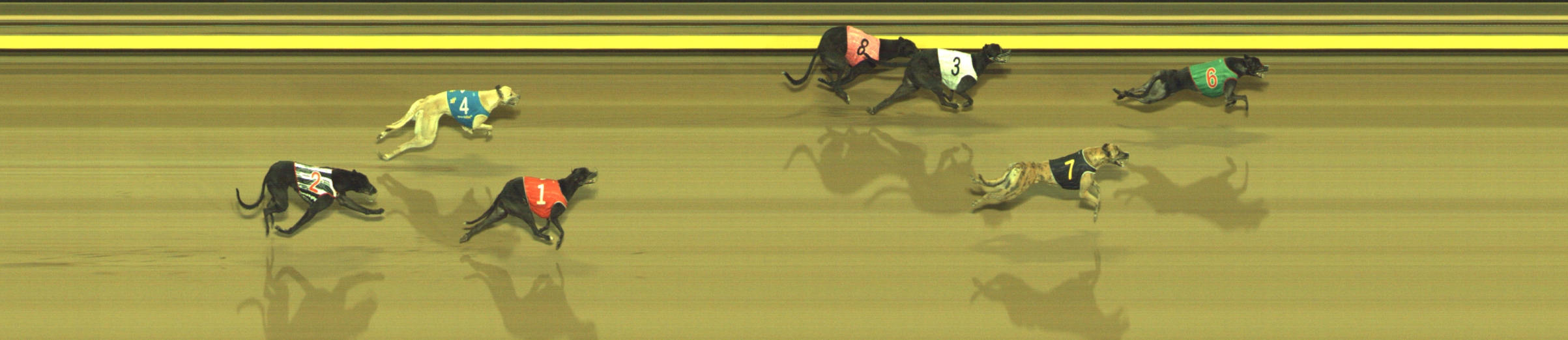 Photo finish for Geelong Race 7