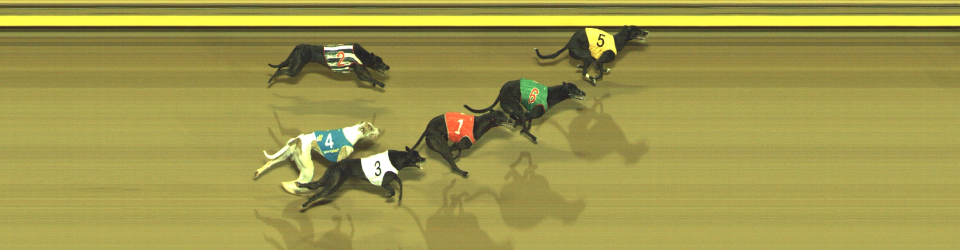 Photo finish for Geelong Race 8