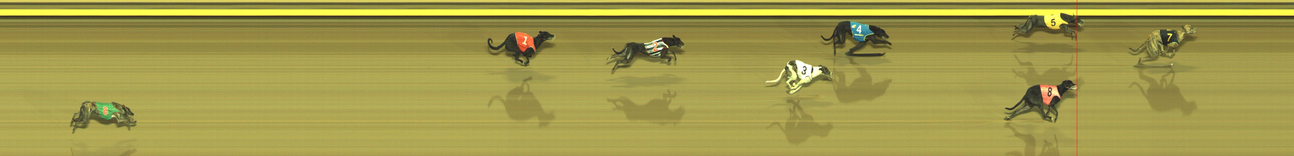 Photo finish for Geelong Race 9