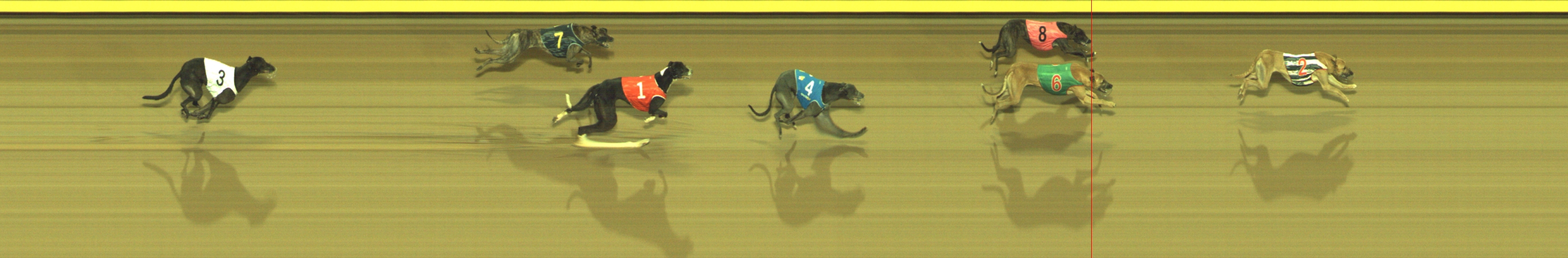 Photo finish for Geelong Race 10