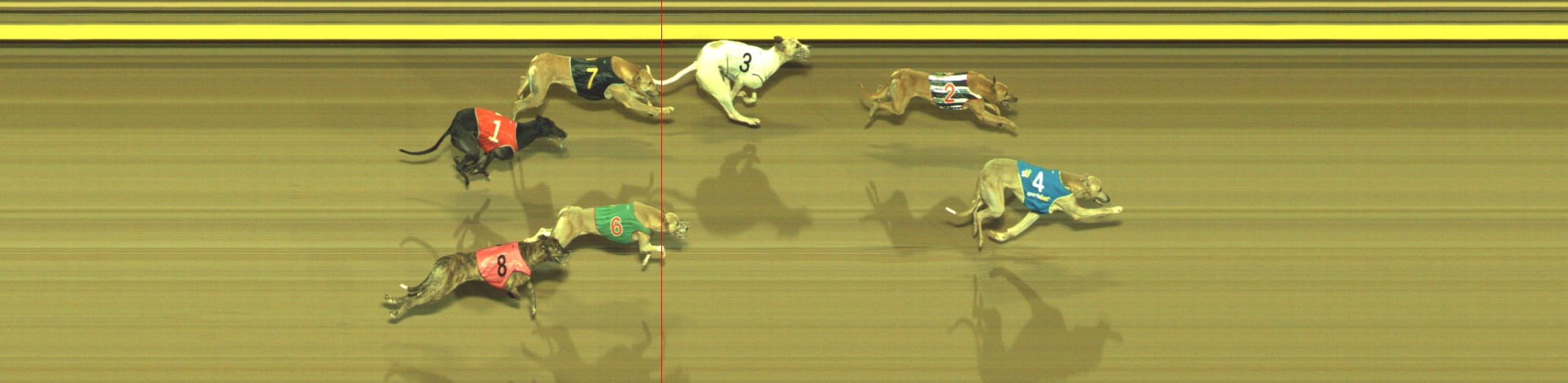 Photo finish for Geelong Race 11