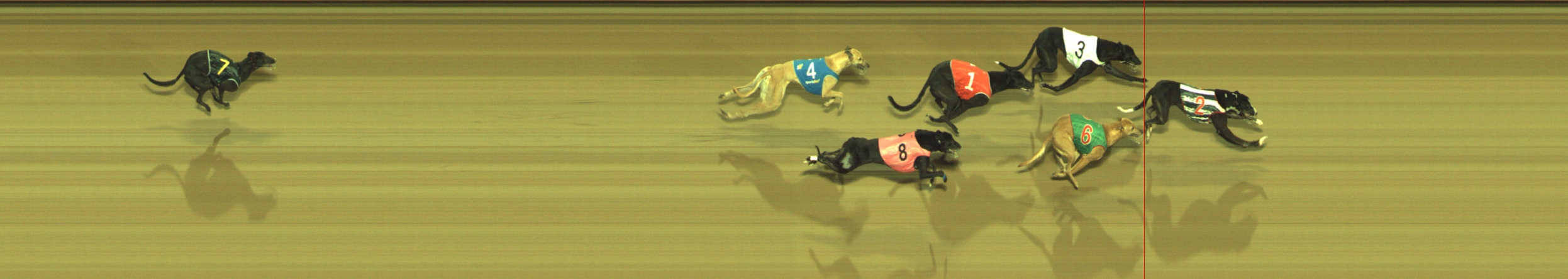 Photo finish for Geelong Race 12