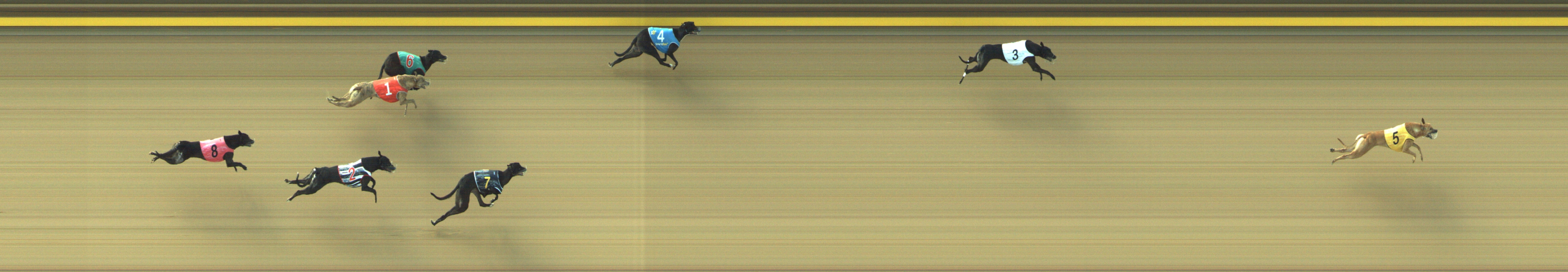 Photo finish for Geelong Race 2
