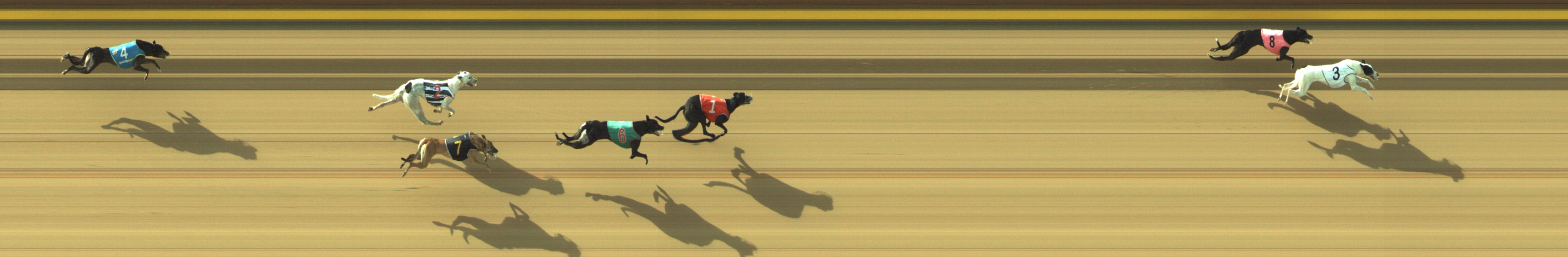 Photo finish for Geelong Race 3