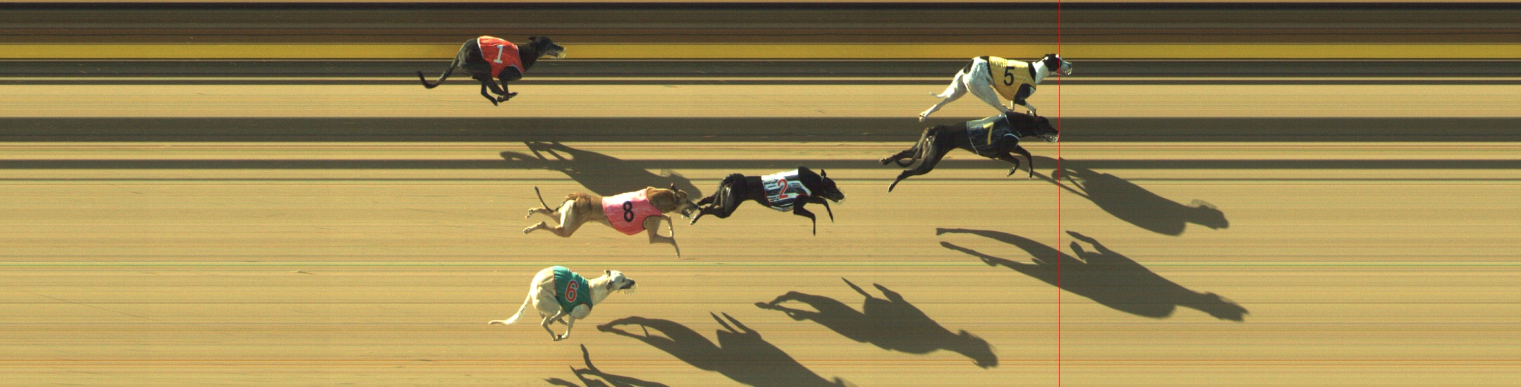 Photo finish for Geelong Race 4