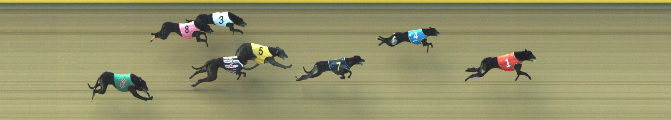 Photo finish for Geelong Race 5