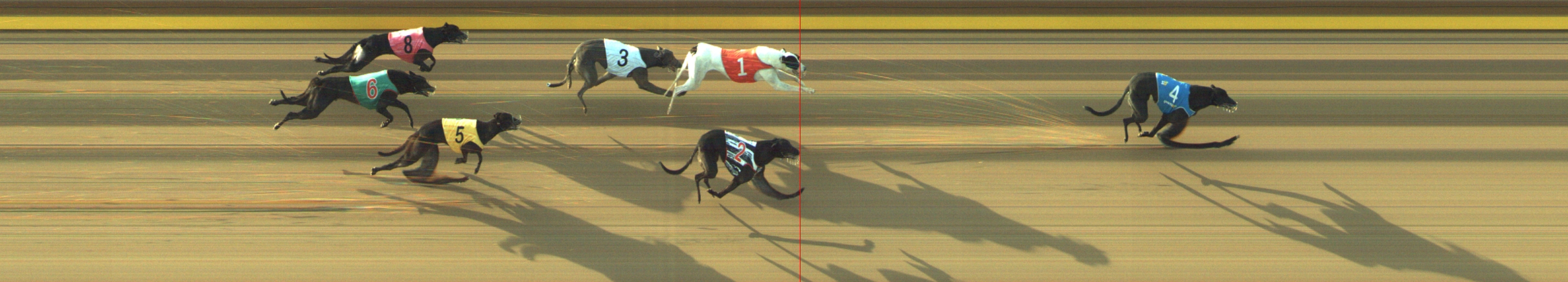 Photo finish for Geelong Race 6