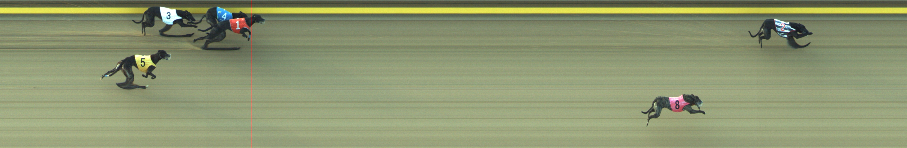 Photo finish for Geelong Race 7