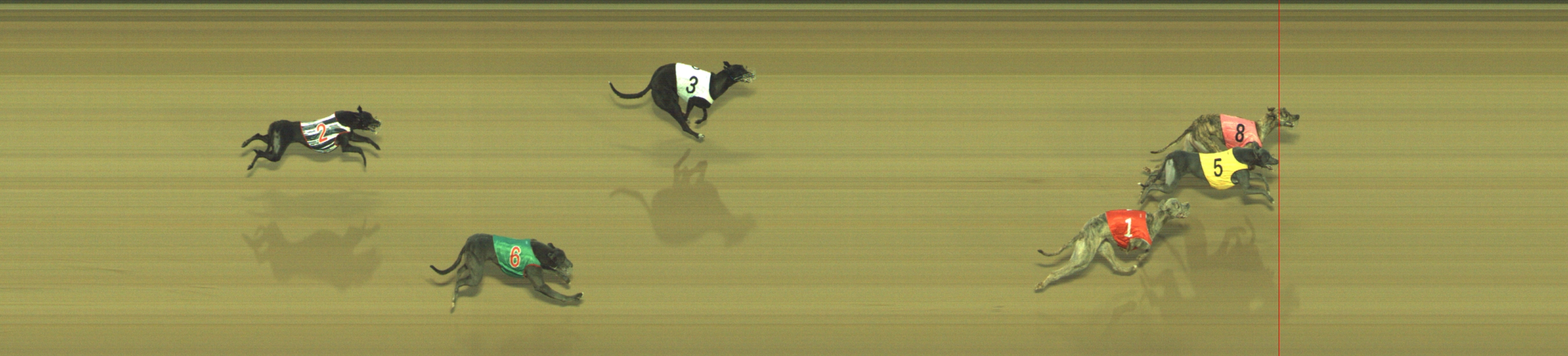 Photo finish for Geelong Race 8