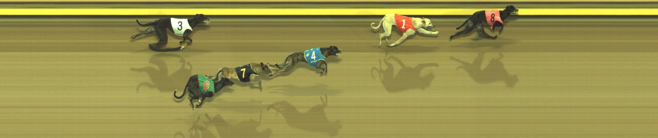 Photo finish for Geelong Race 9