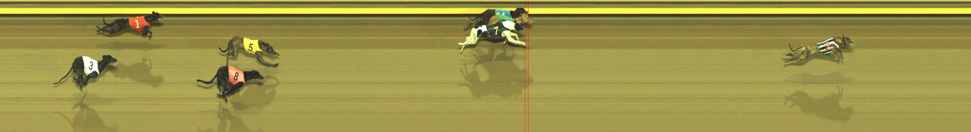 Photo finish for Geelong Race 10