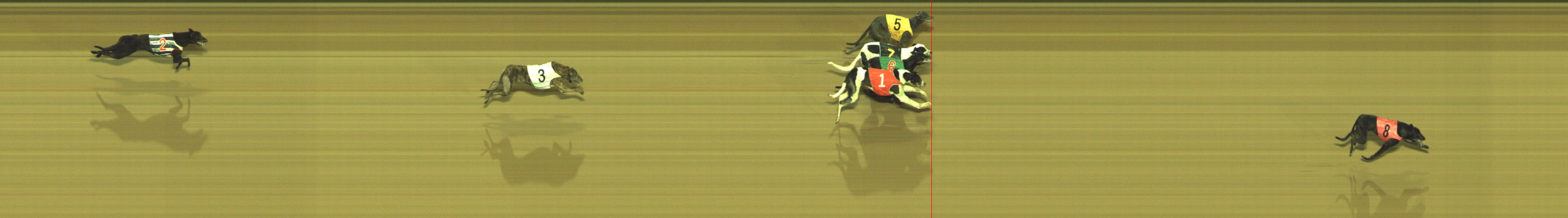 Photo finish for Geelong Race 11