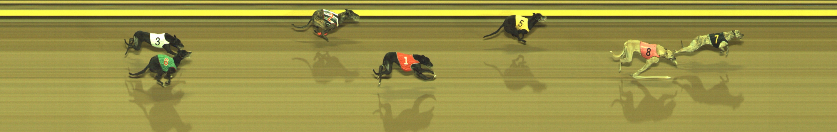 Photo finish for Geelong Race 12