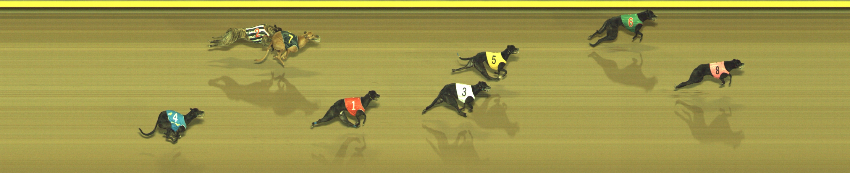 Photo finish for Geelong Race 13