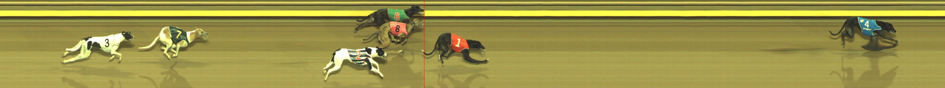 Photo finish for Geelong Race 2