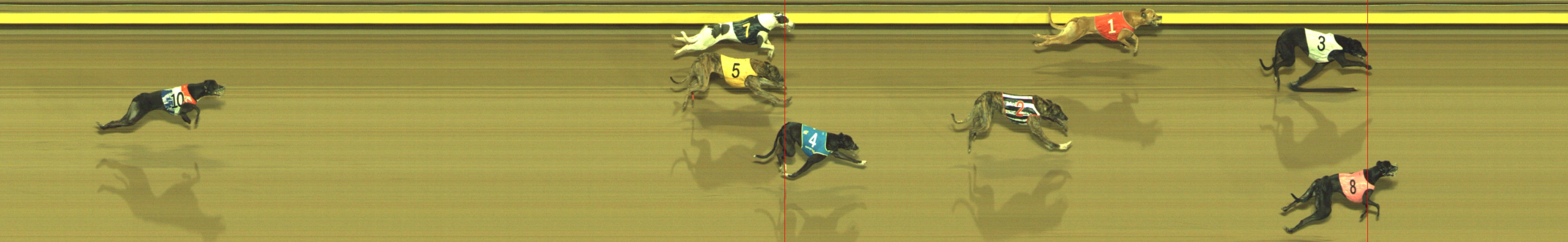 Photo finish for Geelong Race 3