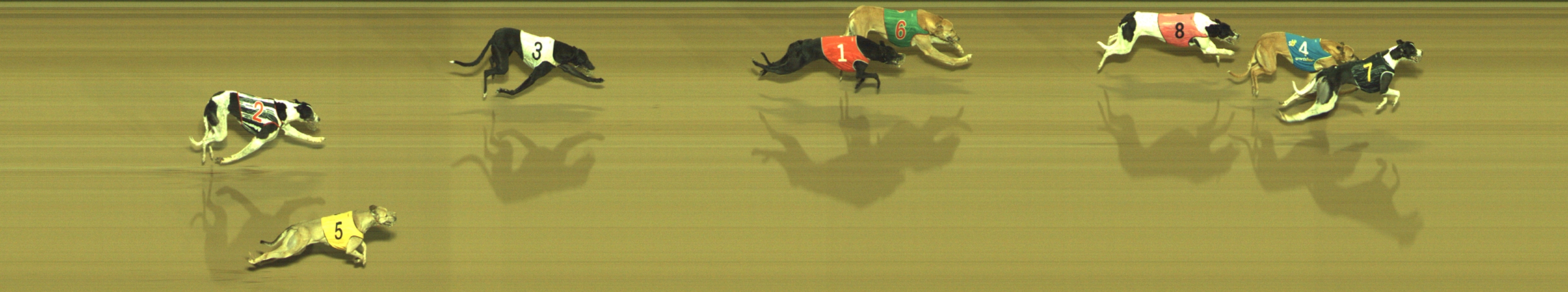 Photo finish for Geelong Race 4