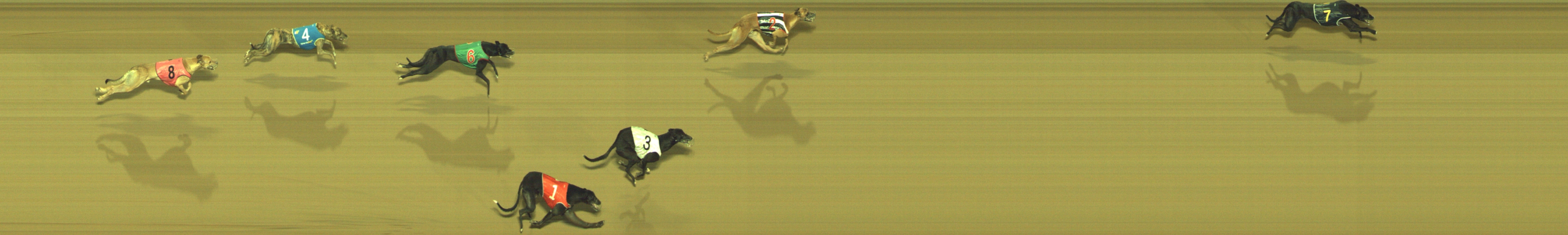 Photo finish for Geelong Race 5