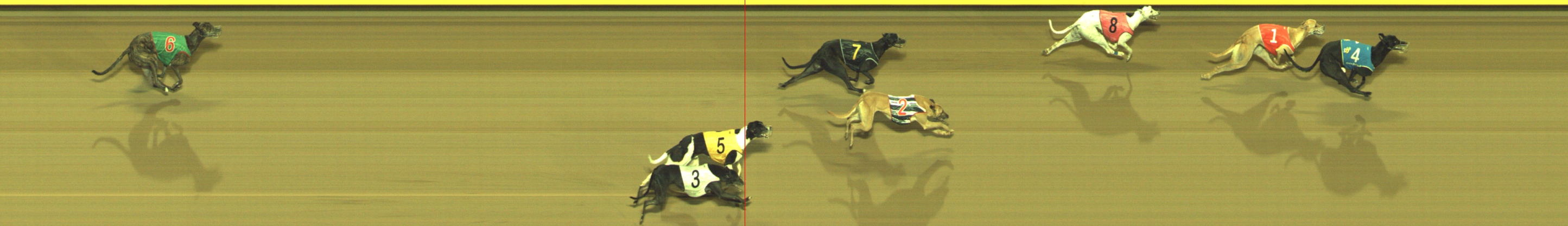 Photo finish for Geelong Race 6