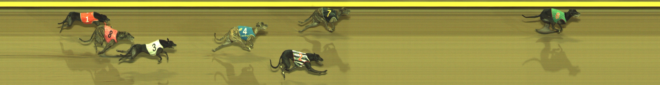 Photo finish for Geelong Race 8