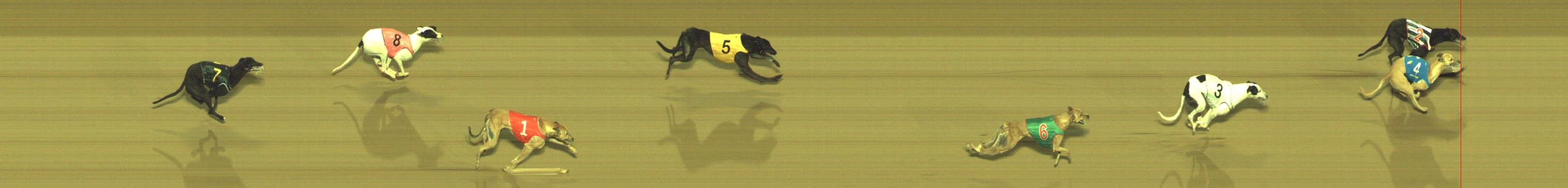 Photo finish for Geelong Race 9