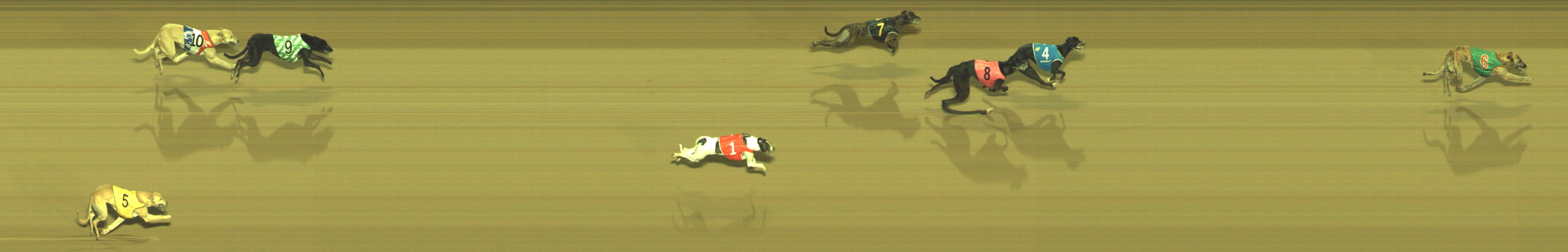 Photo finish for Geelong Race 10