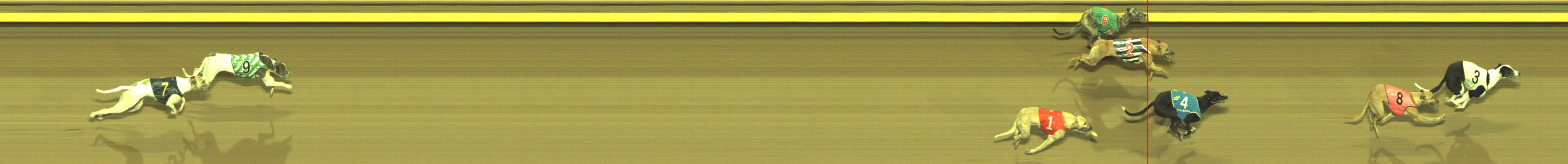 Photo finish for Geelong Race 11