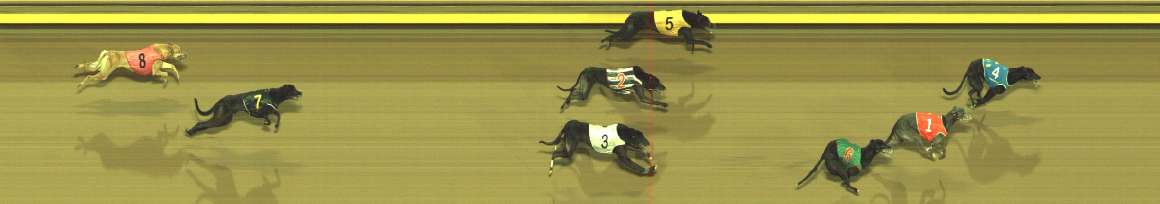 Photo finish for Geelong Race 12