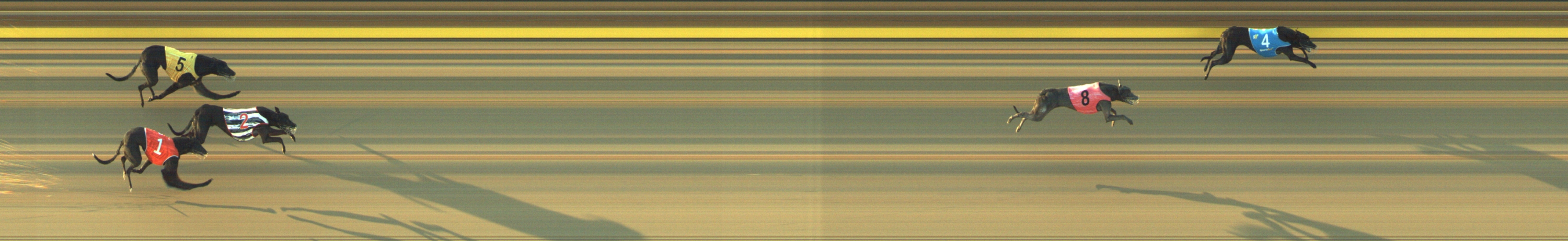 Photo finish for Geelong Race 1