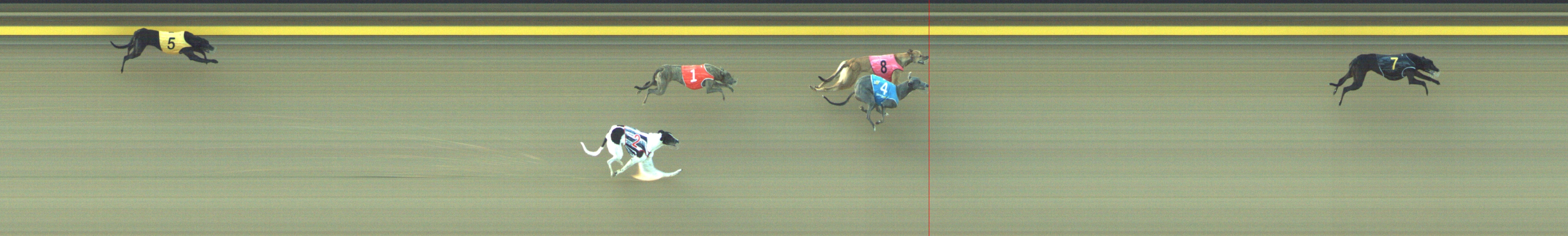 Photo finish for Geelong Race 2