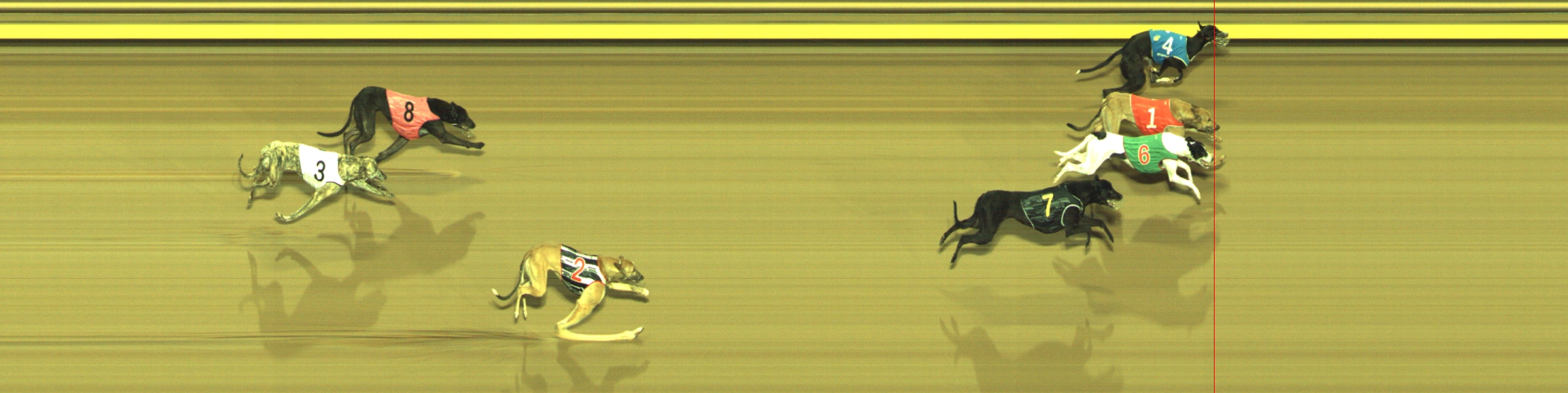 Photo finish for Geelong Race 3